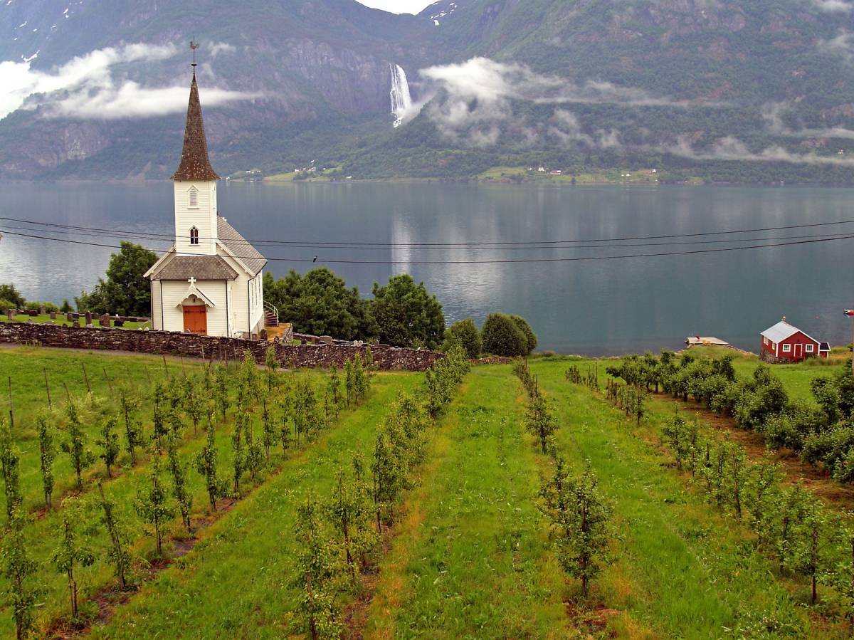 Da li ste ikada pomislili da bi Skandinavci mogli da prave vina? Toplija klima dolazi na sever, a to sve menja