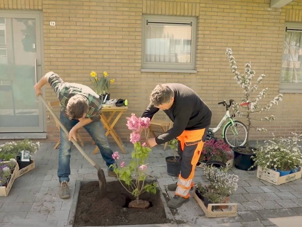 Holanđani se takmiče u uklanjanju betonskih ploča: Na njihovo mesto dolazi cveće, a postoji samo jedno važno pravilo