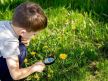 Dečak kroz lupu posmatra biljke