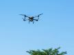 Dron