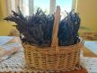 avlija-lavanda.jpg