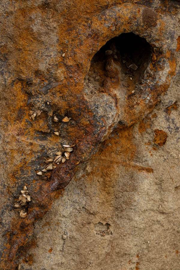 prahovo_brod_izvadjen_iz_dunava_stefan_stojanović_ (31).jpg