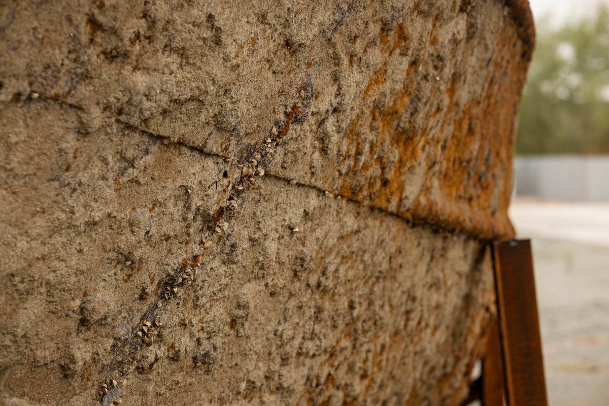 prahovo_brod_izvadjen_iz_dunava_stefan_stojanović_ (32).jpg