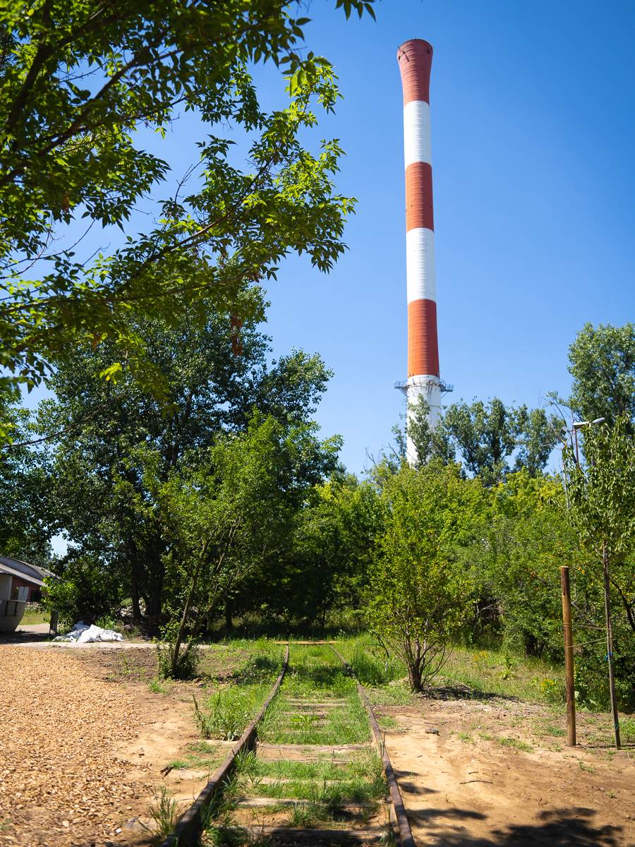 Urbano pčelarstvo-24.jpg
