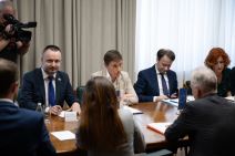 Ana Brnabić, Danijel Apostolović