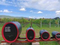 Burad sa vinom i vinograd pored puta
