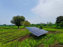 Solarni paneli u njivi