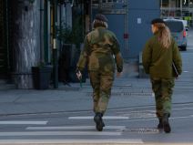 Žene u norveškoj vojsci