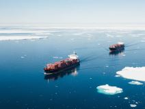 Arktik AI generisano