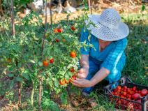 Žena poljoprivrednica