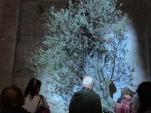 Venecijansko bijenale