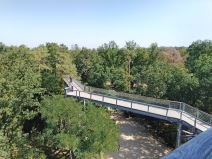 belic-staza-pešaci.jpg