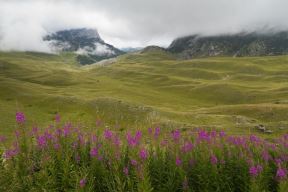 polje u Srbiji