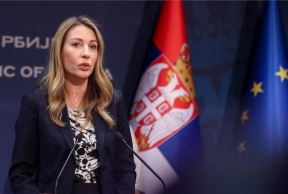 dubravka đedović handanović