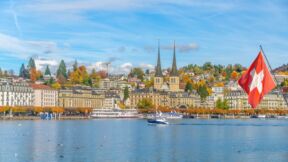 lucern