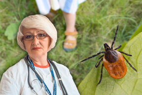 dr Biserka Obradović krpelj