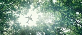 avion proleće iznad drveća