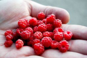 maline_2720886235.jpg