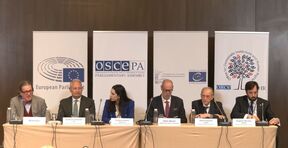 Evropski posmatrači parlamentarnih izbora u Srbiji