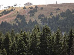 Pogled na Kopaonik i šume četinara