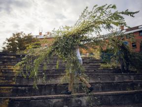 Čišćenje, uklanjanje granja, šiblja, smeća