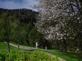 Šetnja u prirodi i uživanje u lepom vremenu