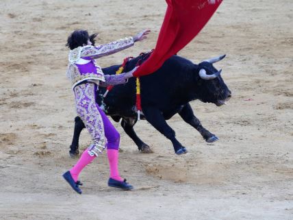 borbe sa bikovima u Španiji