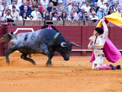 Borbe sa bikovima u Sevilji
