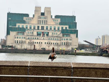 MI6
