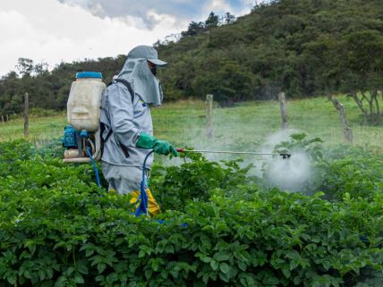 Pesticidi
