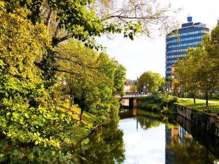 Hajlbron