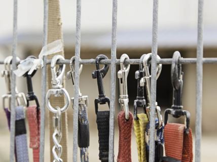 Povoci za pse na ogradi