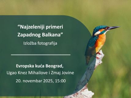 Izložba fotografija