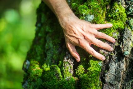 Ljudska evolucija nije dovoljno brza