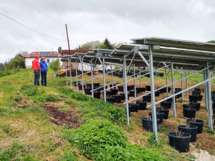 Solarni paneli na farmi Organela