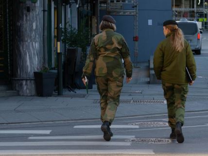 Žene u norveškoj vojsci