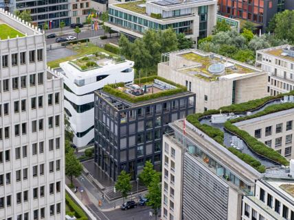 Zeleni krovovi u Berlinu