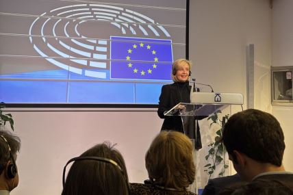 Temido na konferenciji za novinare nakon posete delegacije Evropskog parlamenta Srbiji