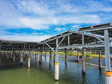 Solarna elektrana iznad ribnjaka