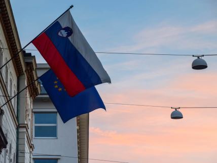 Zastave Slovenije i EU