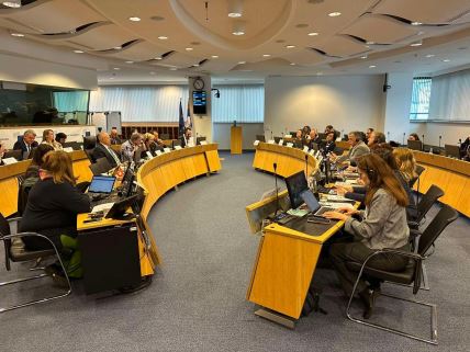 Zajednički konsultativni odbor EU–Srbija (JCC)