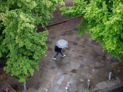 Osoba drži kišobran i prolazi Berlinom po kišnom danu