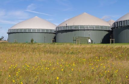 Biogas elektrana