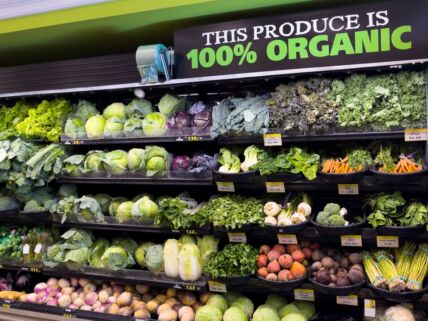 rafovi sa organskim povrćem u supermarketu