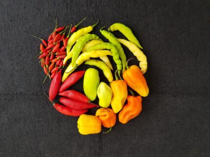paprika_1910976997.jpg