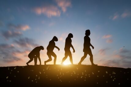 Ljudsko telo i evolucija