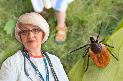 dr Biserka Obradović krpelj