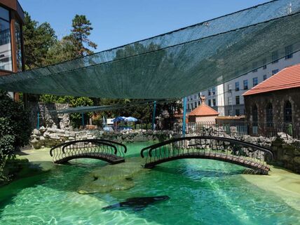 Zoo vrt na vrućini