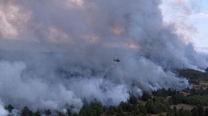 Helikopter gasi požar u Deliblatskoj peščari