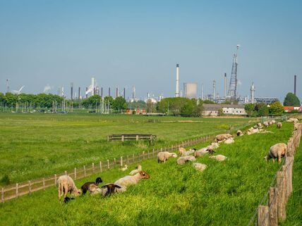Moerdijk